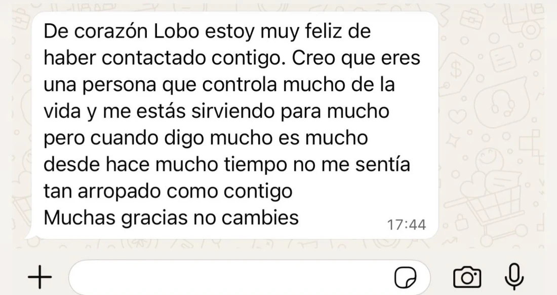 Mensaje de una persona de la Manada, captura 17 de 33